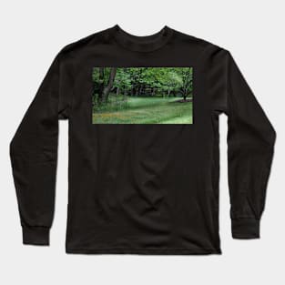 Dreaming Field Long Sleeve T-Shirt